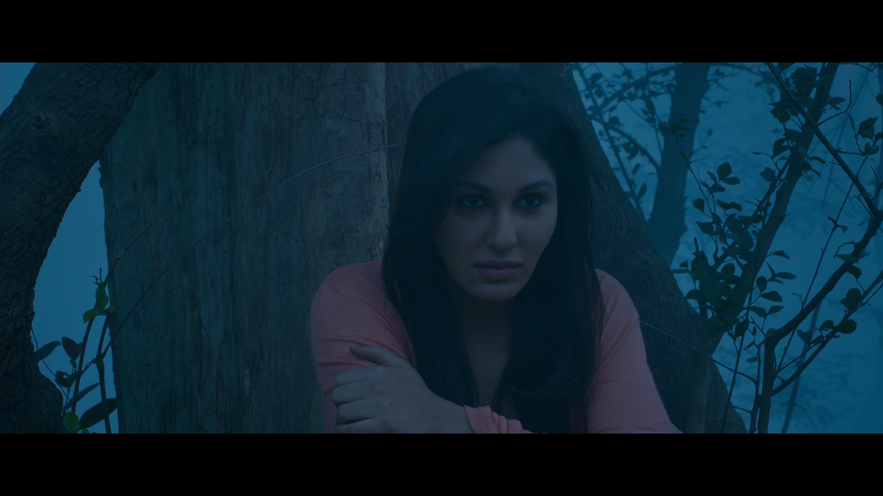 vlcsnap 2026 02 27 19h25m47s352