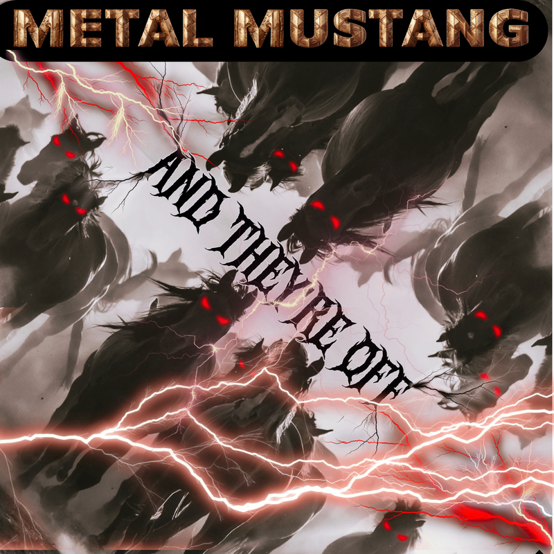 www.facebook.com/metalmustangdetroit