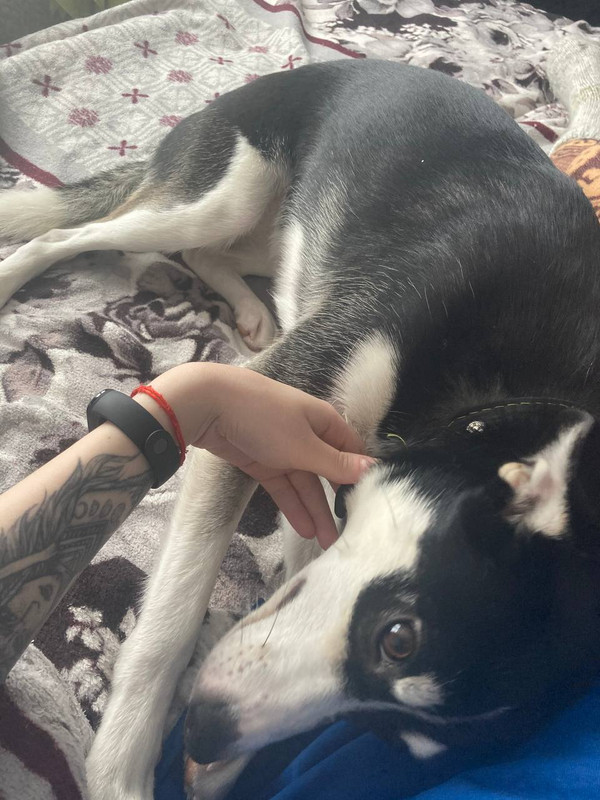 FE9C597F-A711-46F7-B3B3-CE140DA8FA12