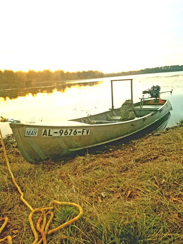 Honda vs Tohatsu vs Suzuki Small 4 Stroke Outboards Outdoor Board
