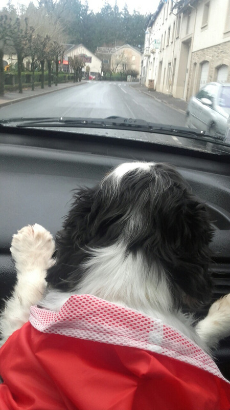 E8673454-3AAF-492B-89AC-2512C154CD74