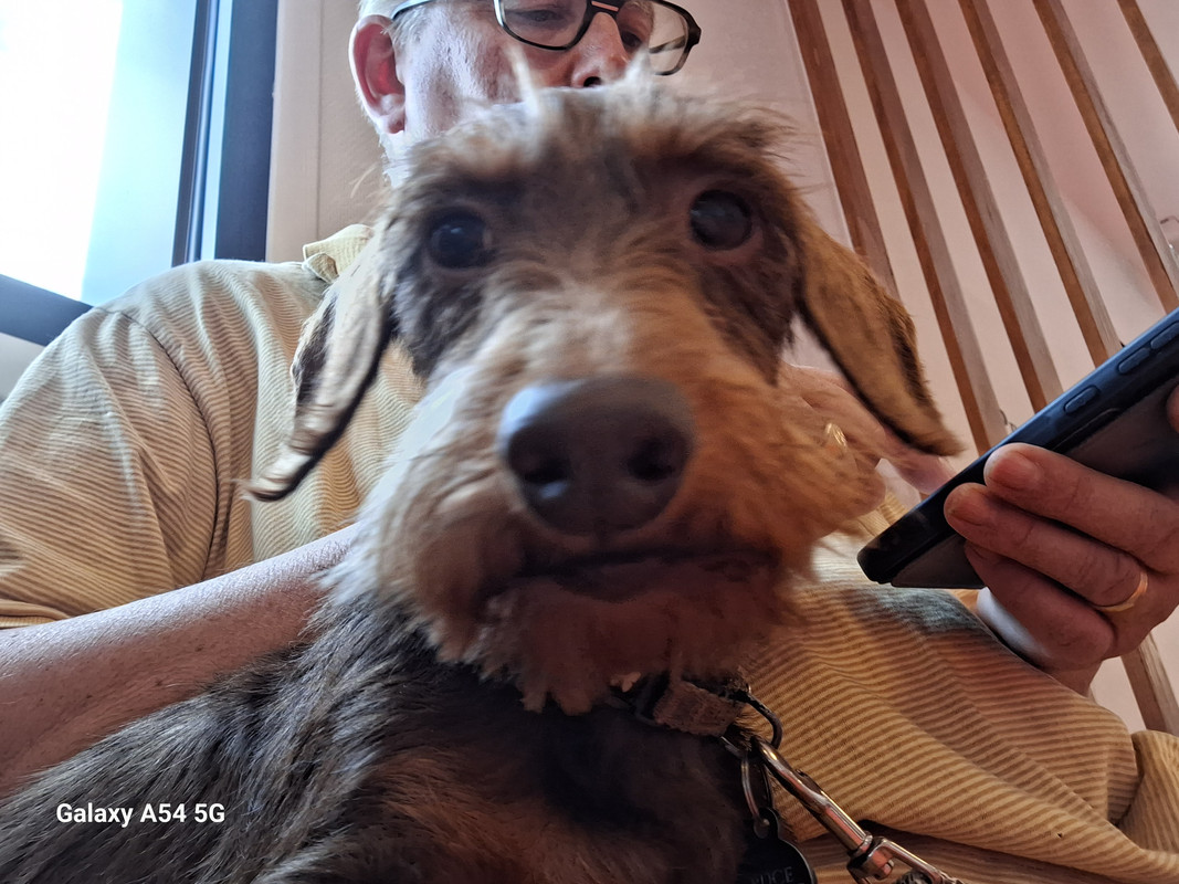 [Image: 20240707-173546-0.jpg]