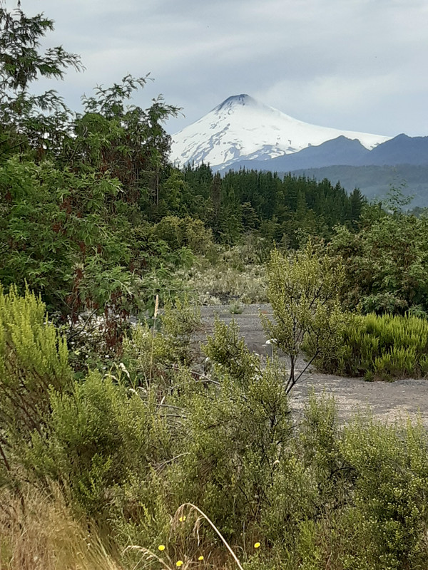 [Image: 20241228-145326.jpg]