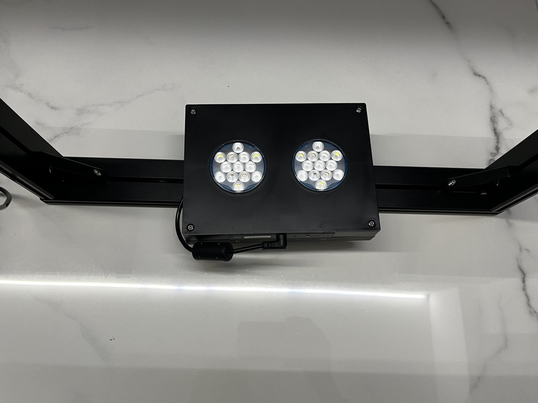 6C0A95FD-8C9C-44D0-A49C-31F153B8683D