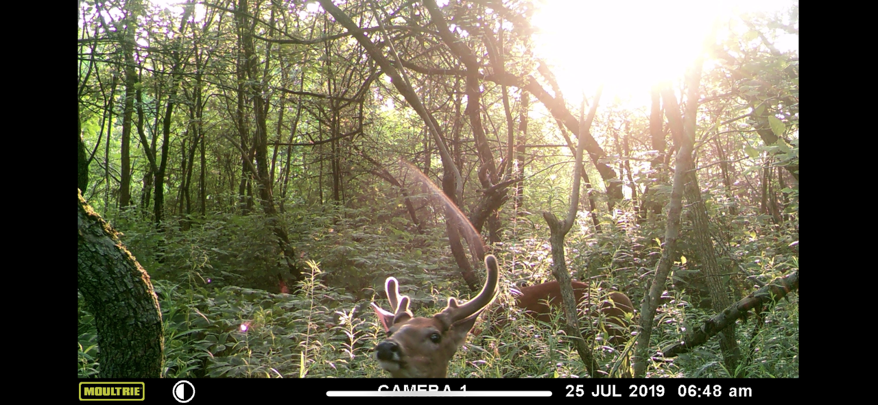 FA1FDF56-6B3C-4FE8-9D28-395C2C23BA36