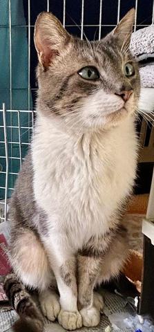 01d7b4b4 27f2 4529 8cb1 a253a9b9234f