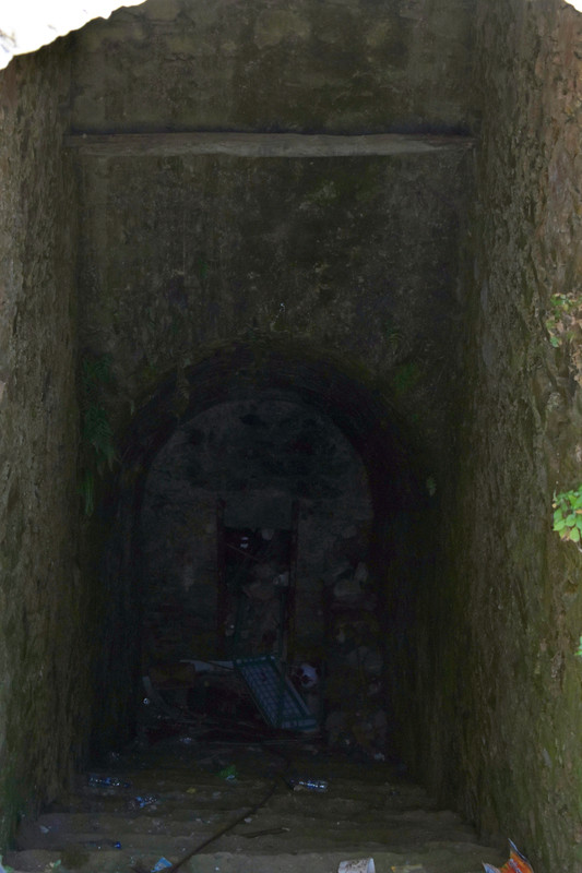 Δρυοπίδα (33)