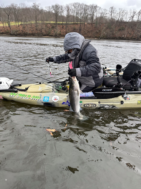 9029B010-E5BB-4A4D-979E-A2E142B5DE9F