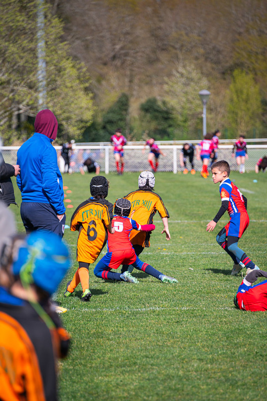 tournoi-de-latlantique-2026-adonis-griffon-184-55181275821-l