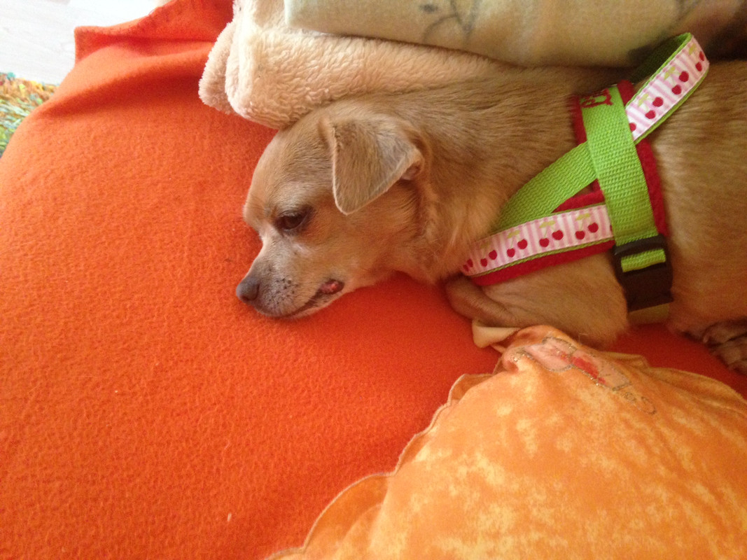 044EB934-9D78-4AAD-AC16-D9C3C31A6FF3