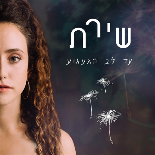 תמונה