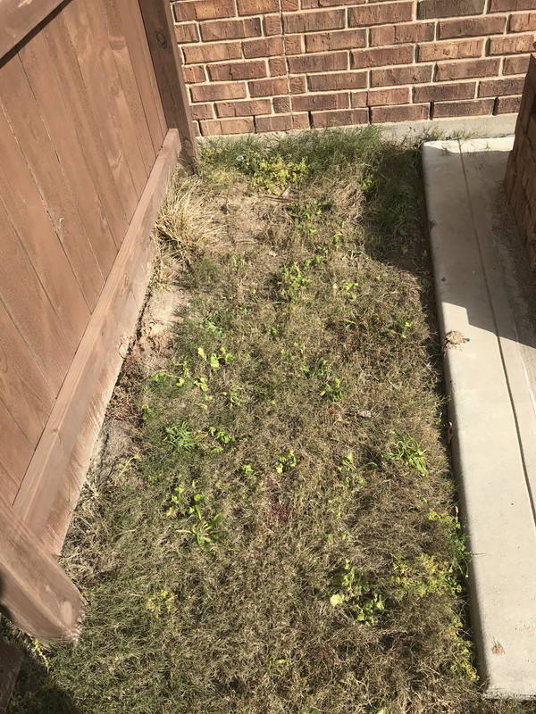 86AE8166-E63F-4FFB-8C43-0E5DDD200D12