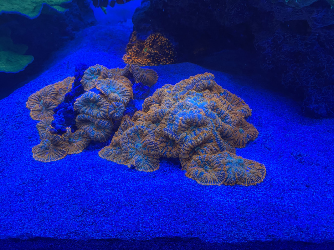 4E5FBC89-5355-4CE0-B15B-25BE03772FD9