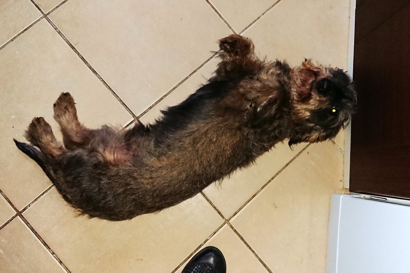 [Image: DSC-4225.jpg]