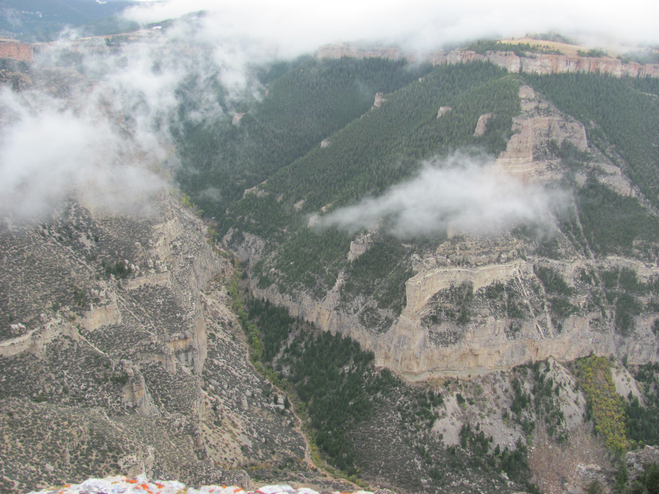 Cottonwood Canyon 002