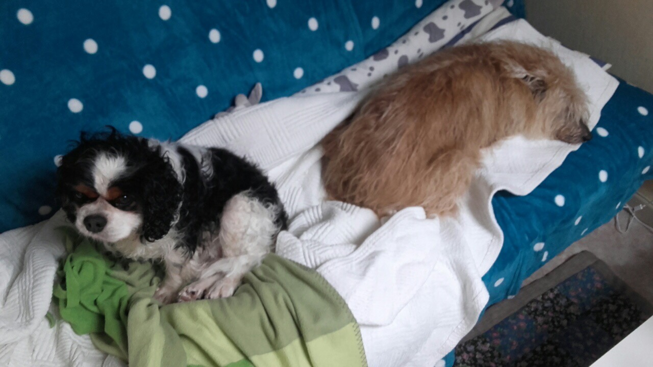 A2D79B04-A5ED-4FD9-B326-66CAC6674B90