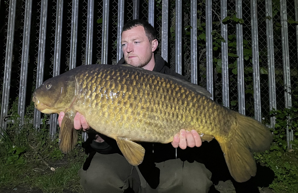 908CF675-40BE-4FEC-AC7E-7AA2600917A0