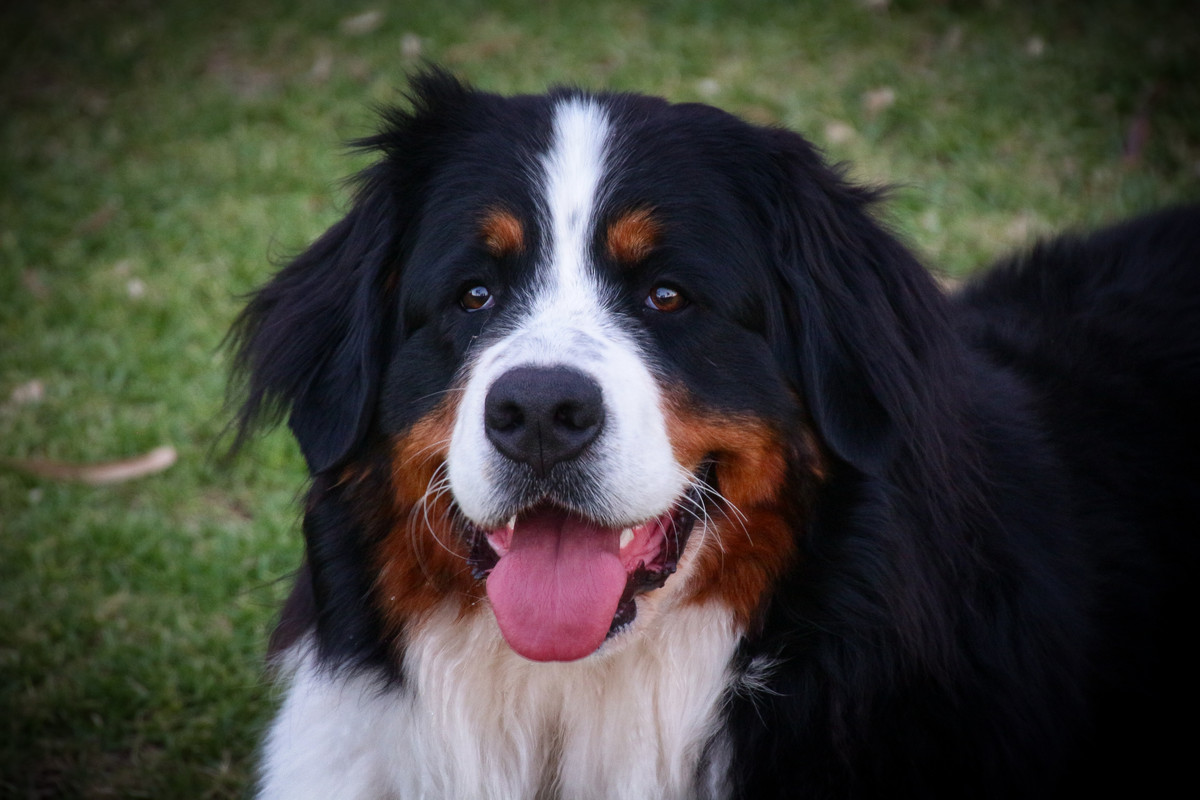 IMAGE: https://i.postimg.cc/NMmTJ8jw/IMG-9264-1-3.jpg