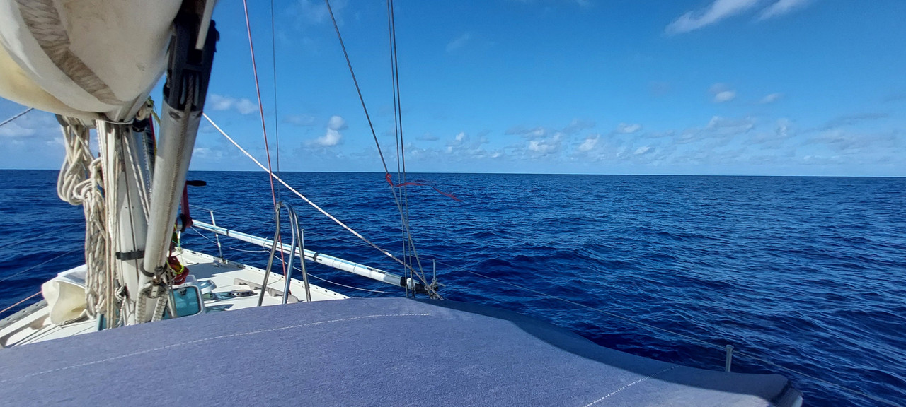 [Imagen: 20251029-121333.jpg]