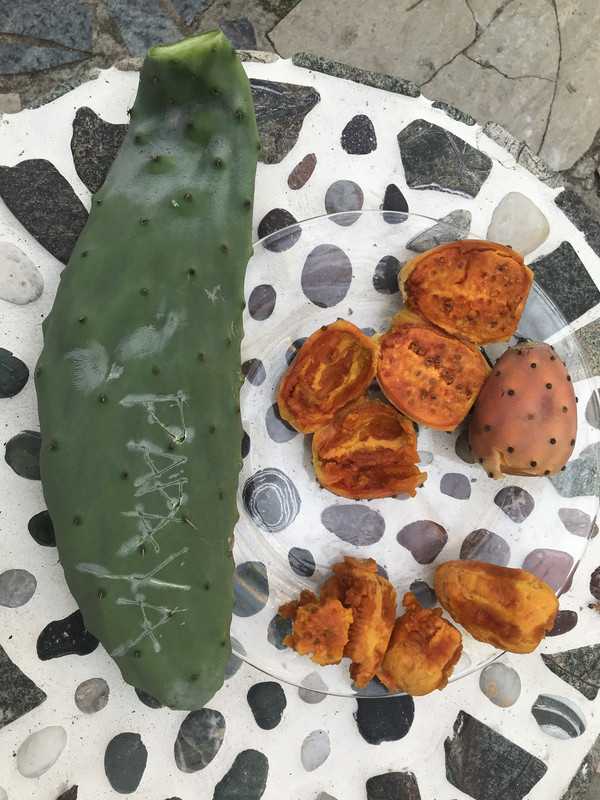 0066907B-9C2F-47F4-B3C9-B71BACDC6A5A