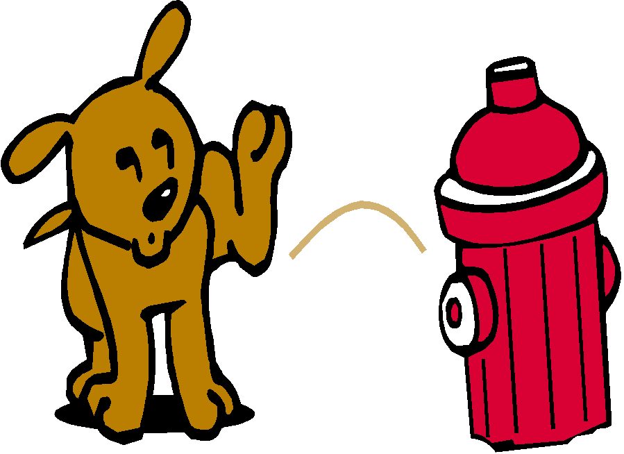 chien_pipi_borne