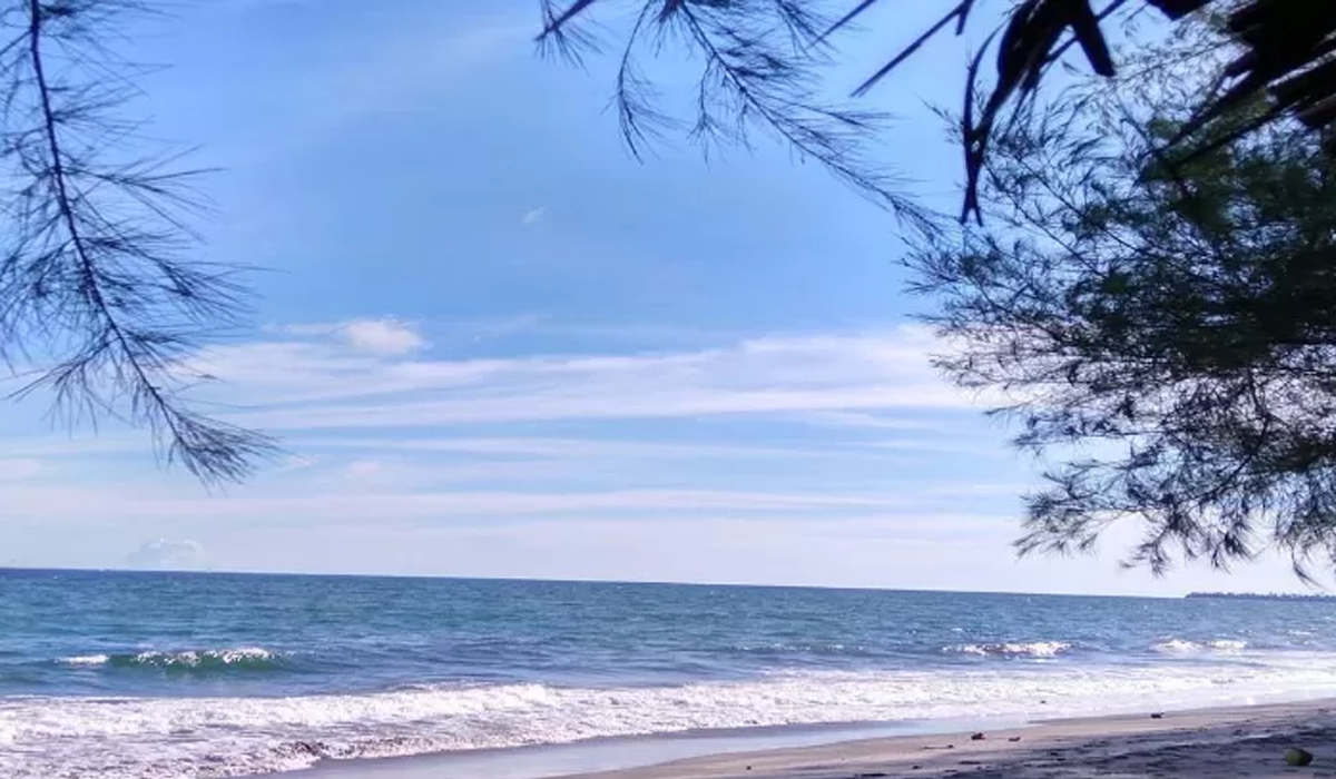 Liburan Seru dan Menyegarkan di Pantai Cemara Indah Indramayu