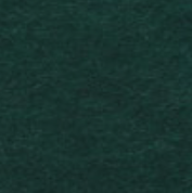 Jungle Green (DF-31)
