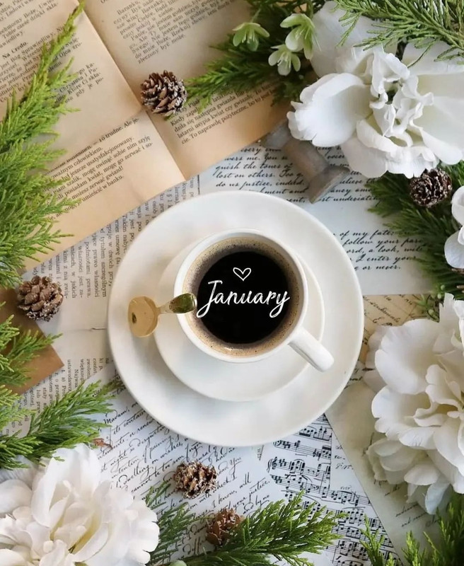 Screenshot_20240112_232027_Instagram