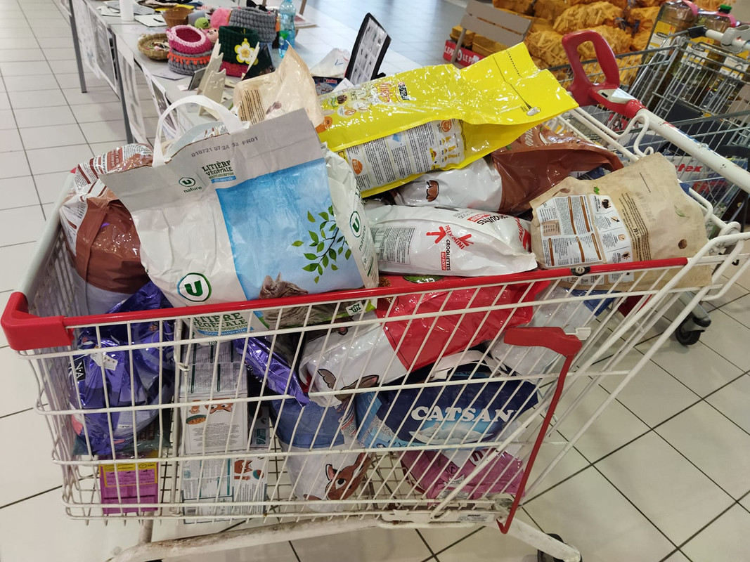 259207865_4595201413901163_3359042359273164234_n