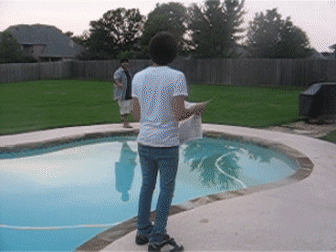 Misty-Spiteful-Amurstarfish-size-restricted.gif