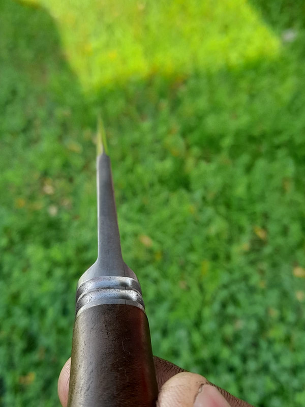 WhatsApp Image 2022-04-24 at 9.50.41 AM (2)