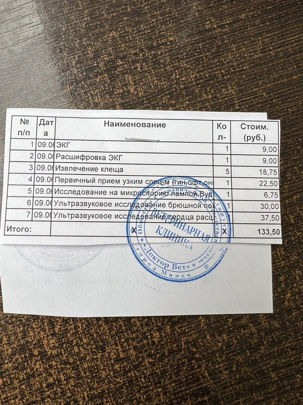 A066E8ED-8DE3-4F2A-A58A-B4107F578B2C