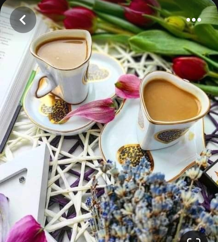 Screenshot_20230713_154608_Pinterest