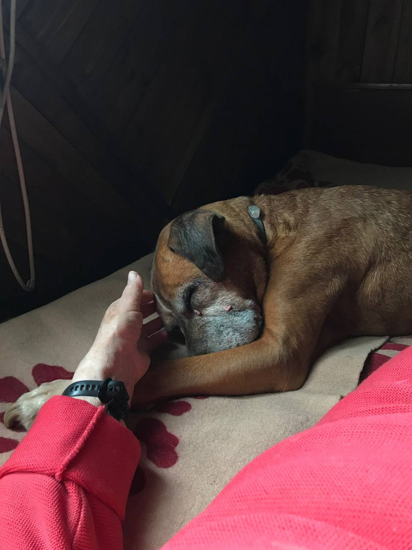 A42151F4-EFB9-477B-B601-F2679365A219