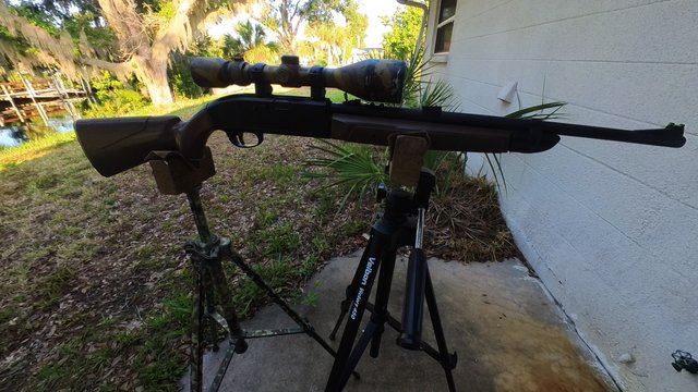 IMG_20240605_083837_00_029