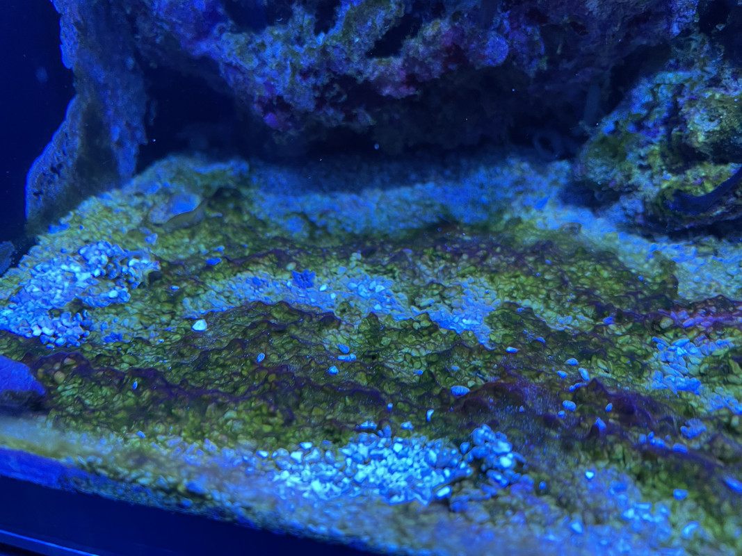 01AF4578-FE15-4287-8A70-D6E0DE754625