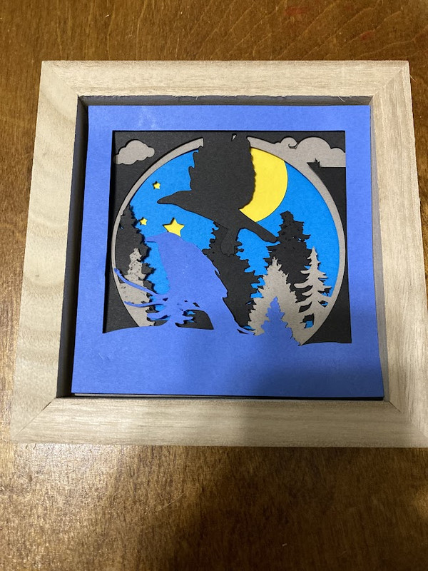 raven shadow box