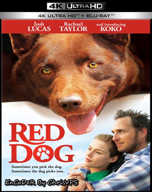 Przygody Rudego / Red Dog (2011) MULTI.HDR.2160p.BluRay.DTS.HD.MA.DDP-ChrisVPS / LEKTOR i NAPISY