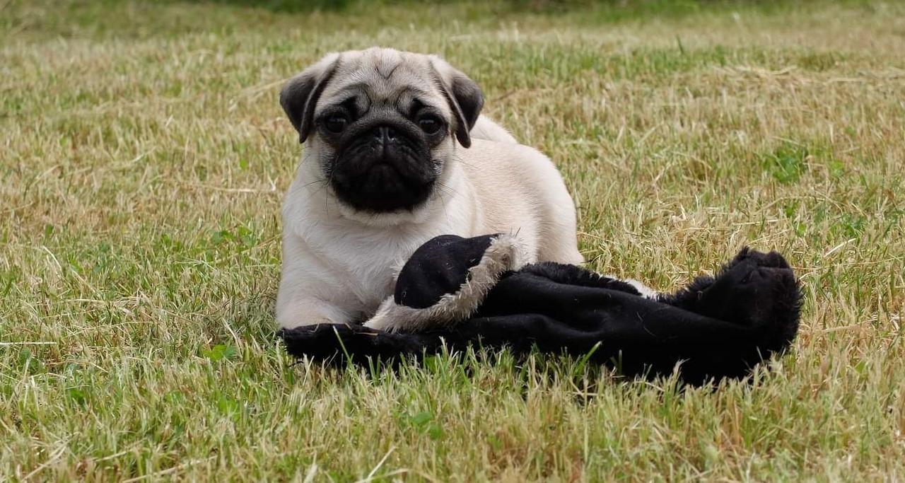 BB01502A-F6BF-4604-B7D6-19BB76911274