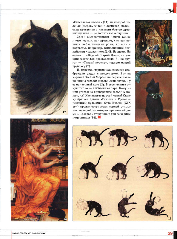 Друг кошек 2005-06-28