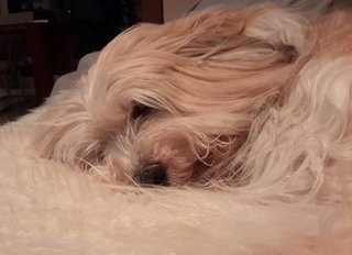 2900B2C0-8699-4302-9F0A-CEB137AE00D3