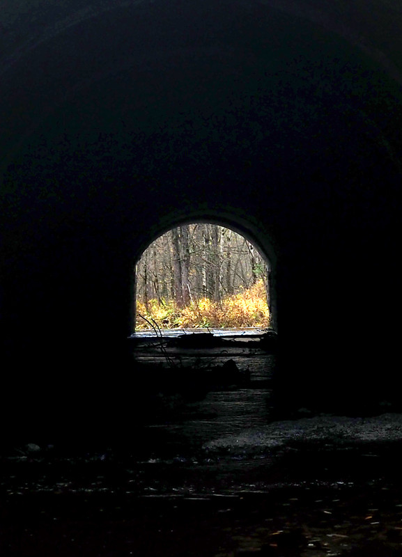 PA061943.jpg