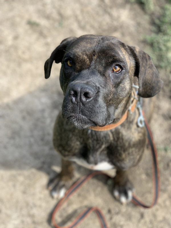 9C6C1280-813D-45F2-93E5-D21598041CCC