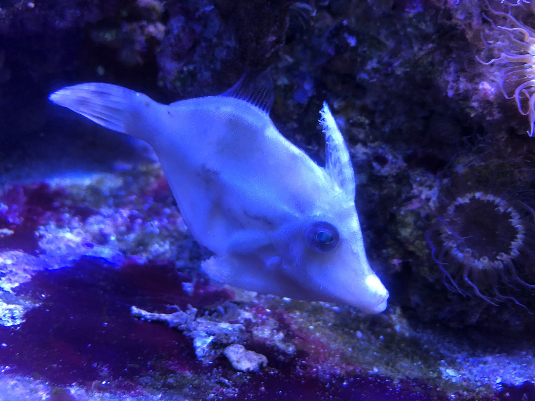 D4A175C2-A1C6-4631-B8FB-31462CB8678A