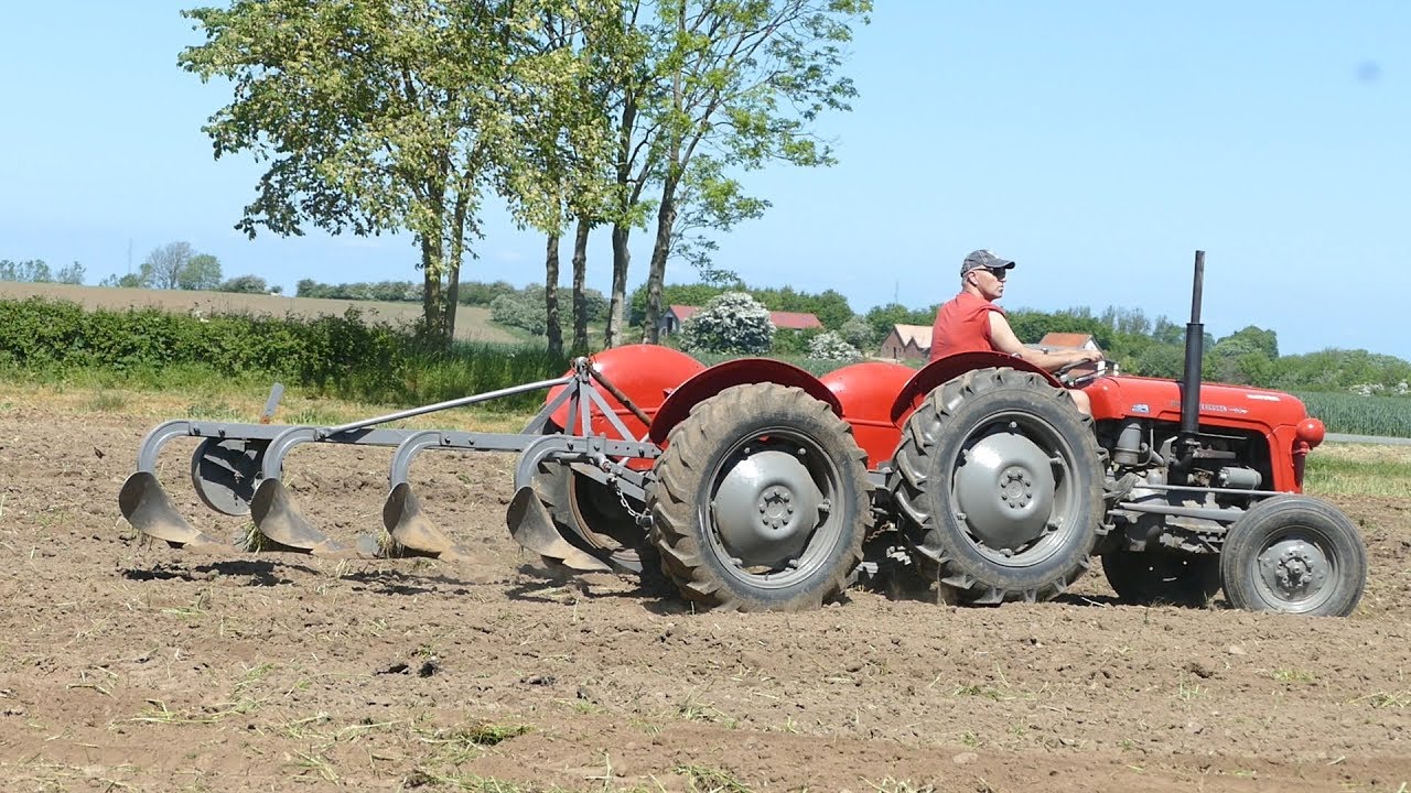 ALGUNOS PROTOTIPOS. - Página 5 MF-35-Double-Butt-4-furrow