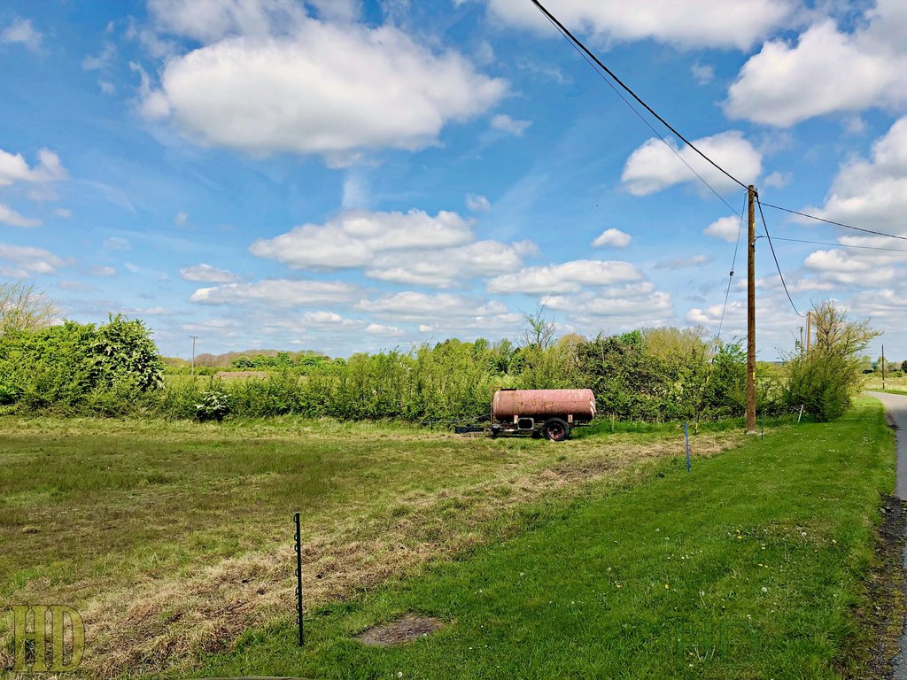 Steeple-M-field-HD-may-2022.jpg