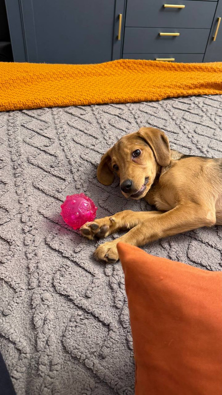 IMG 20260309 160941 925