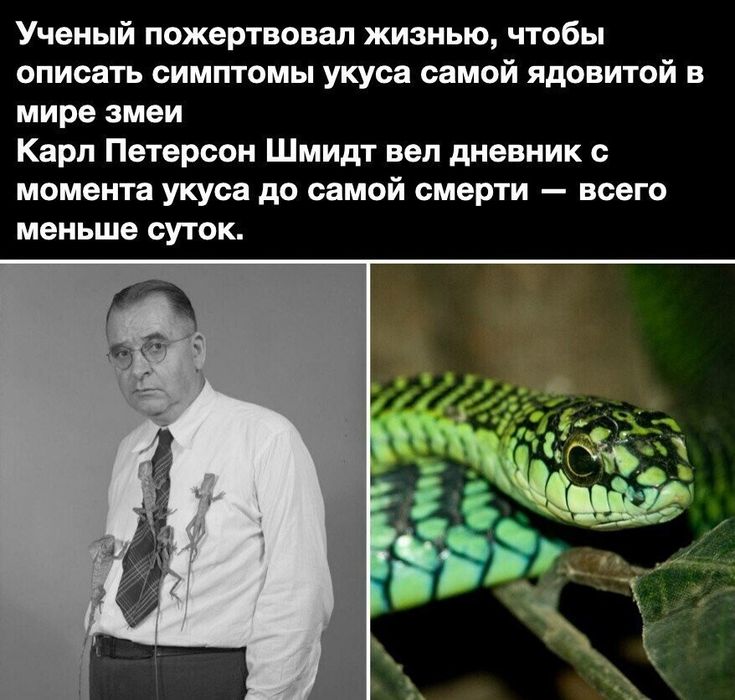 [Изображение: photo-2025-03-04-04-19-01.jpg]