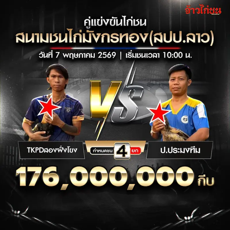 โปรแกรมไก่ชน สนามชนไก่มังกรทอง 7 พฤษภาคม 2569 TKPDสองฝั่งโขง vs ป.ประมงทีม