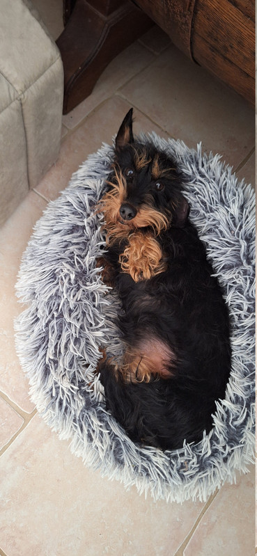 [Image: 20251230-134051.jpg]